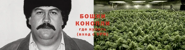 таблы Инта