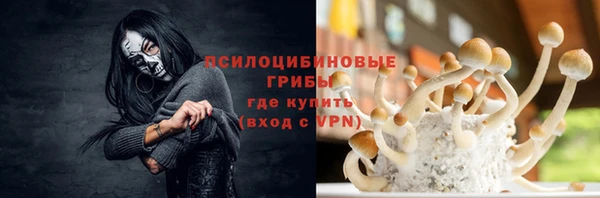 PSILOCYBIN Инсар