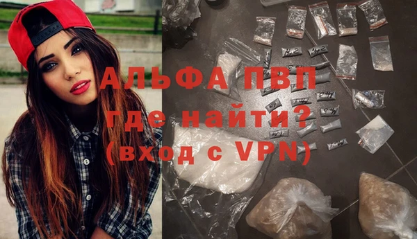 PSILOCYBIN Инсар