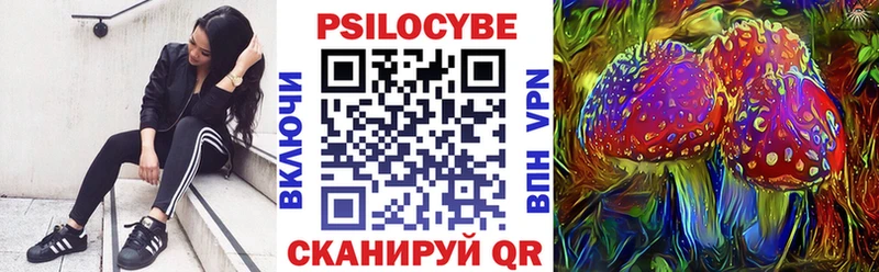 Псилоцибиновые грибы MAGIC MUSHROOMS  MEGA вход  Касимов  как найти закладки 